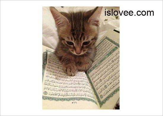 If you need to concentrate?
