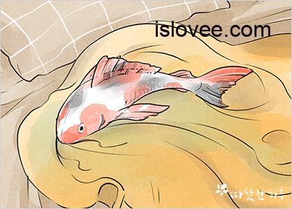 적합한 장소 – 좋은글 명언